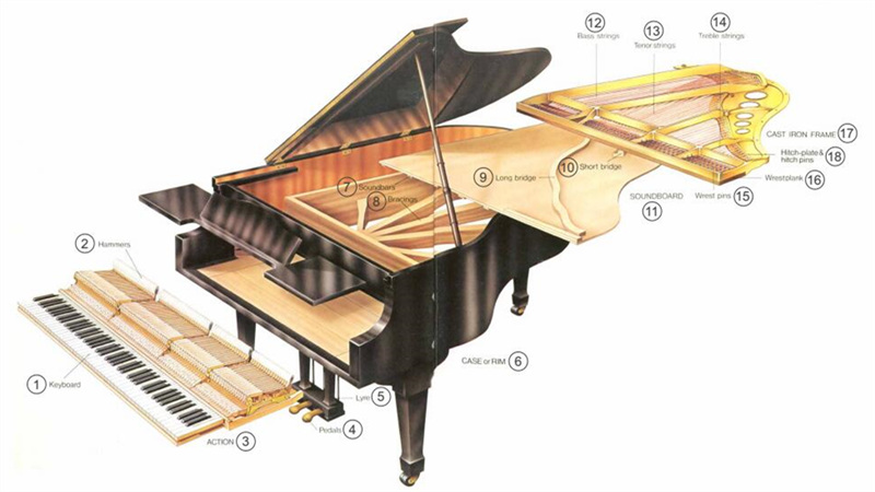 参观游览 艺术展览 往期展览 卧式钢琴即三角钢琴,也称作平