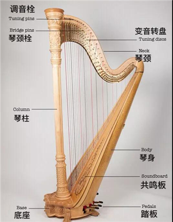 解密"最神秘的乐器"——竖琴|艺堂课