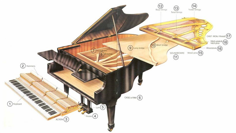 钢琴内部结构清晰图图片