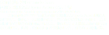 费尔南迪尼奥Fernando Sans
西班牙歌剧杂志Opera Actual杂志主编
Chief editor of the Spanish opera magazine, ÓPERA ACTUAL 费尔南迪尼奥1991年成为西班牙歌剧杂志Opera Actual创始人和管理者。他也是一名歌剧评论家，曾多次受邀出席在西班牙、意大利和巴西等地举办的国际声乐比赛。他还培养了大批优秀的西班牙和南美歌唱家。此外，费尔南迪尼奥出版过专著，并举办了歌剧展览。
