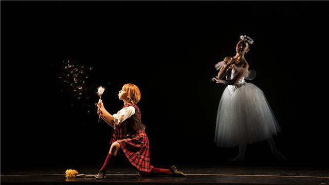 法国波尔多国家歌剧院芭蕾舞团《仙女》/《堂·吉诃德》第三幕 (图8)