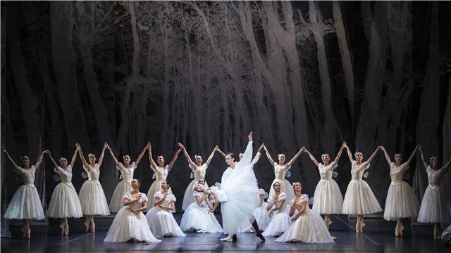 法国波尔多国家歌剧院芭蕾舞团《仙女》/《堂·吉诃德》第三幕 (图3)